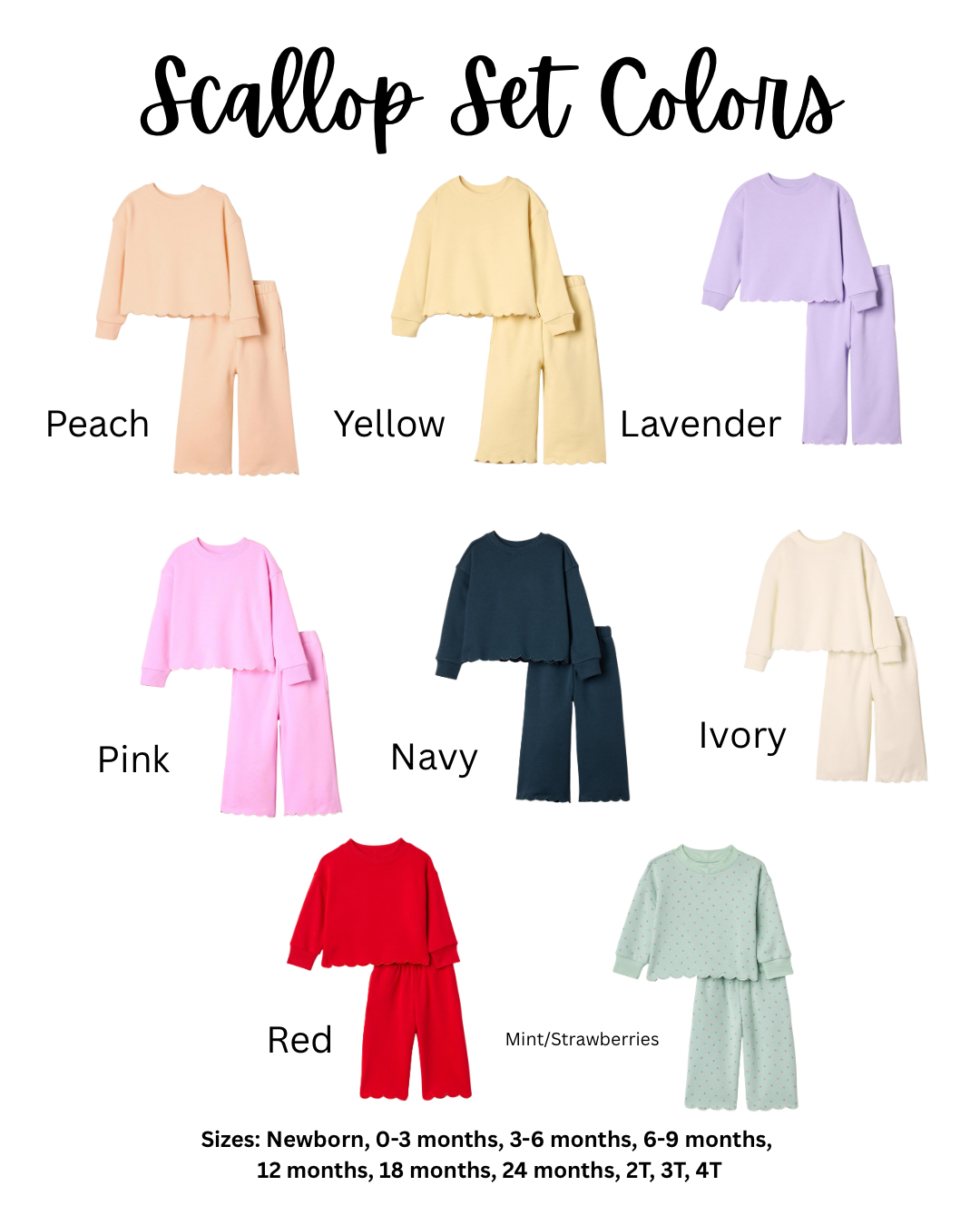 Scallop Set